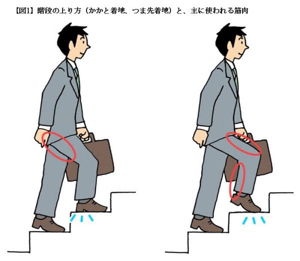 階段ダイエットの効果的な方法